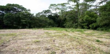 Farm in Alajuela - Costa Rica