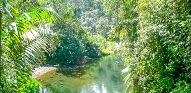 Braulio Carrillo National Park - Costa Rica