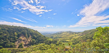 Monteverde Night Hikes - Costa Rica