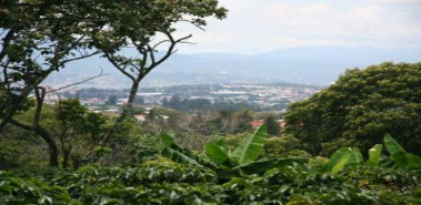 Cocoa Hills - Costa Rica