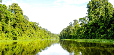 Ten Reasons to Visit Tortuguero - Costa Rica