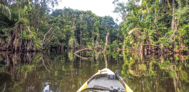 Tortuguero for the Eco Traveler - Costa Rica