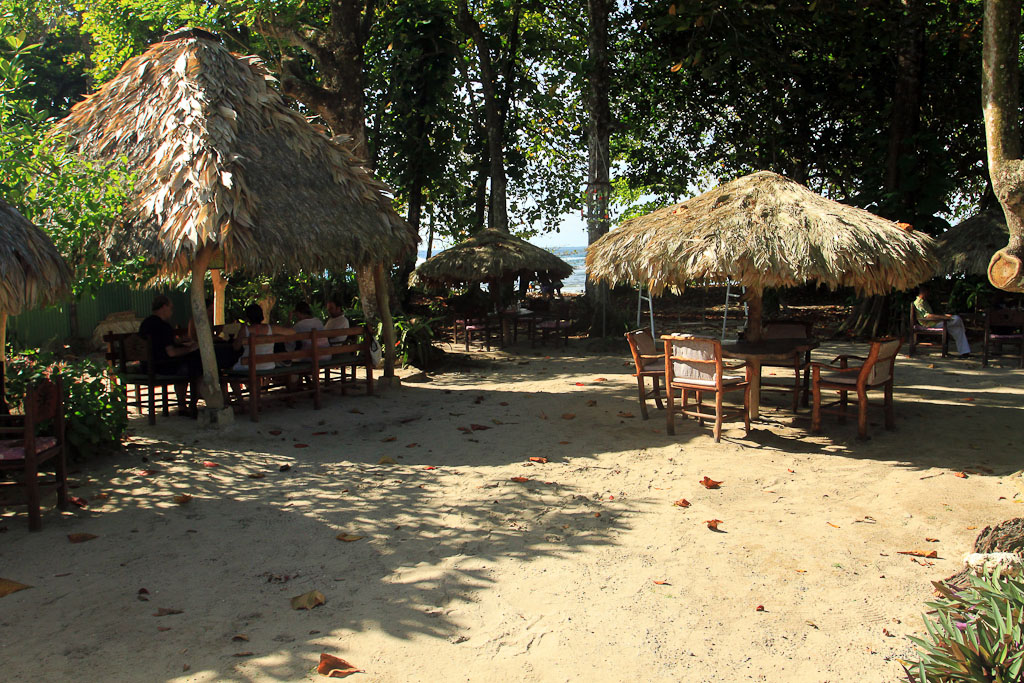 amimodo back patio 4.jpg