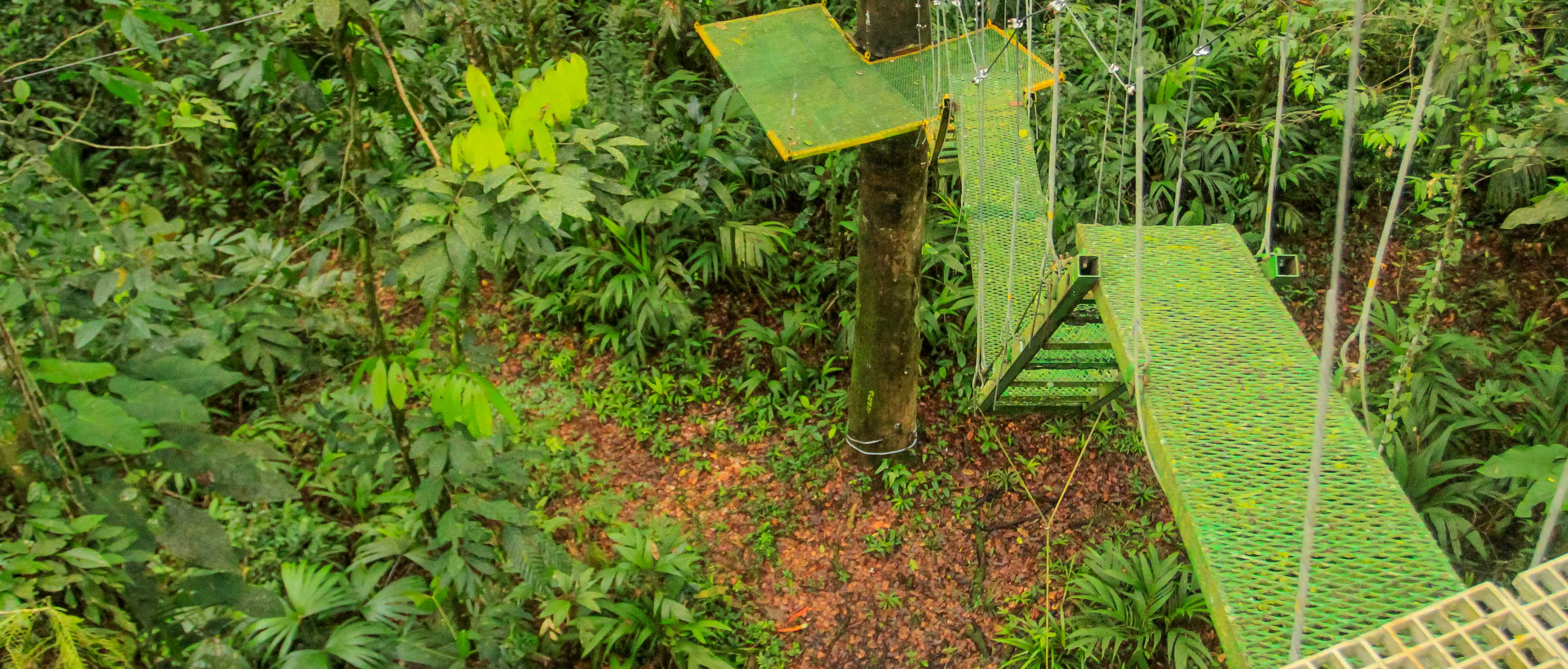 senderos aerios canopy tour bridges 8.jpg