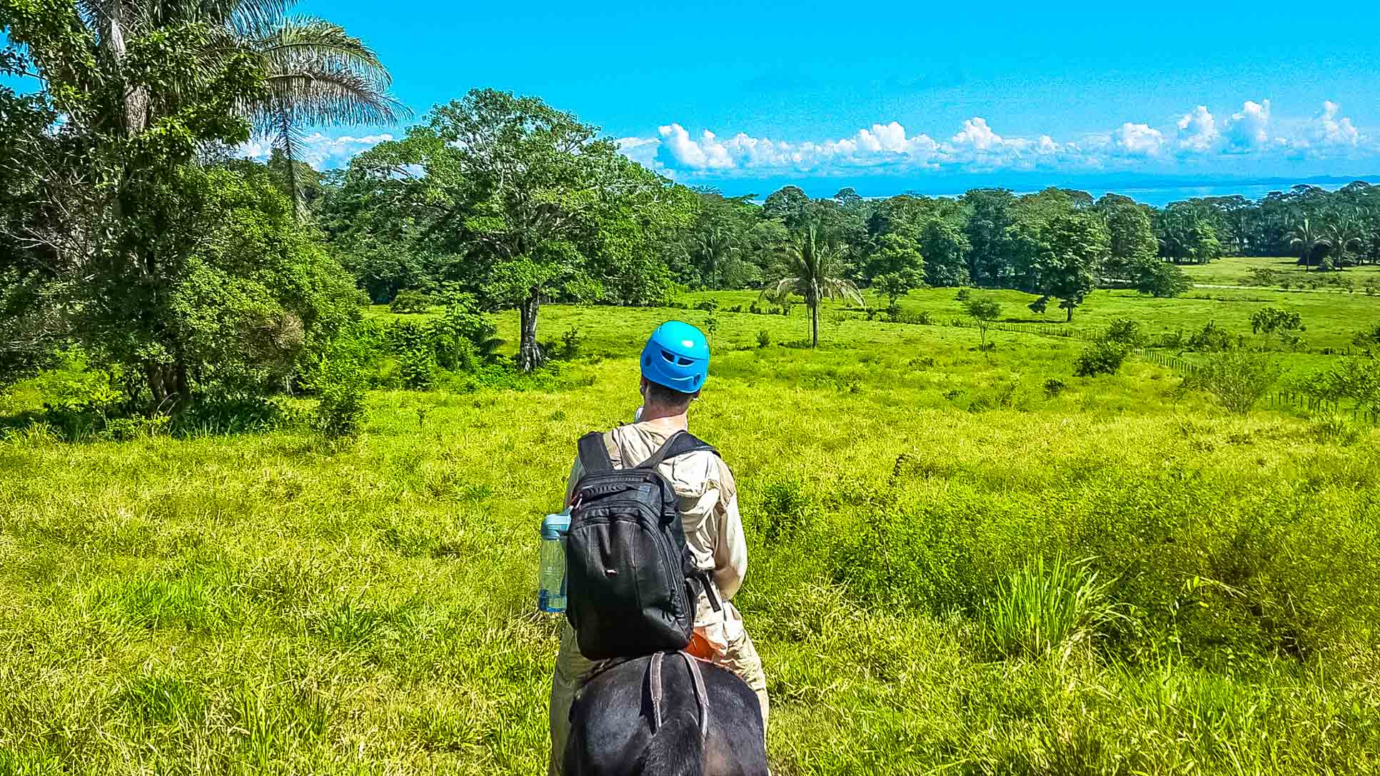 Green Pastures Horseback Rapelling Tour Rancho Tropical Matapalo