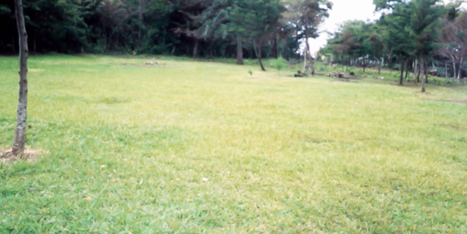 rectangular shaped lot for development view 001.jpg