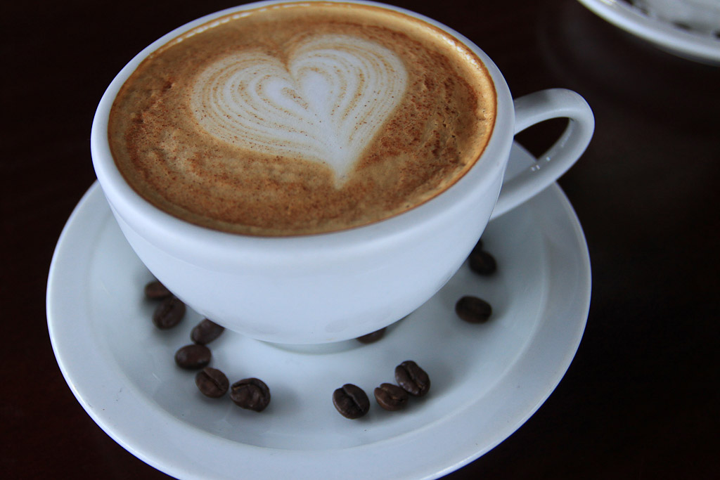 rainforest cafe cappucino 1.jpg