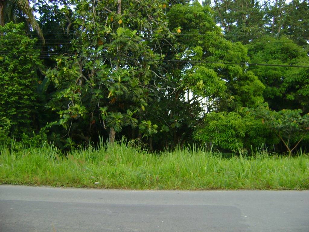 building parcel in alajuela city view 010.jpg