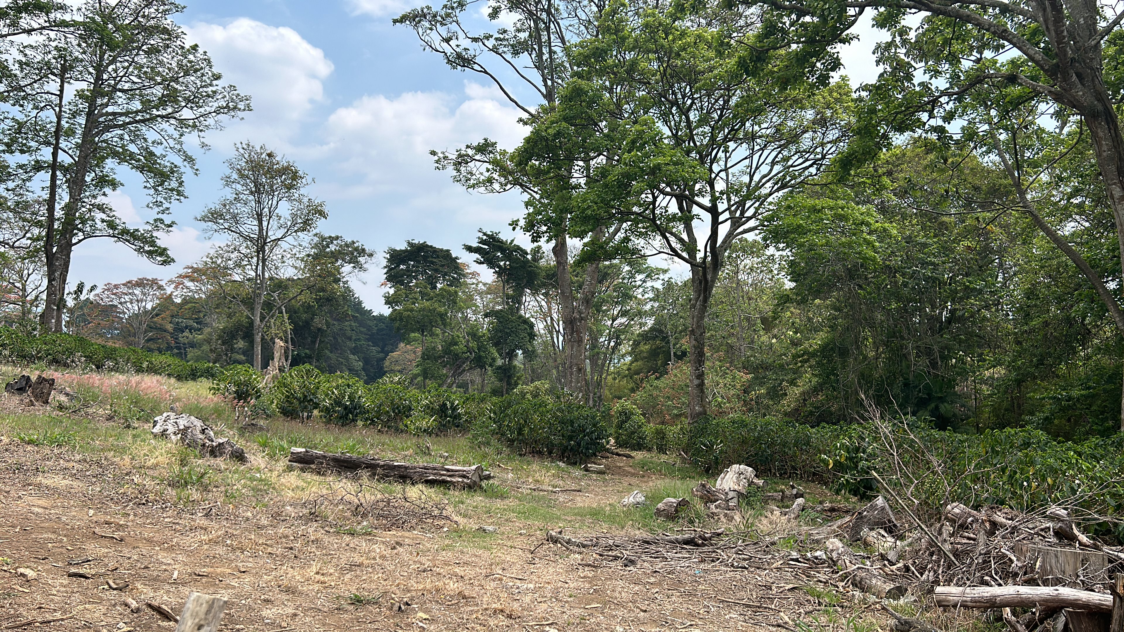 cul de sac residential development lot view 010.jpg