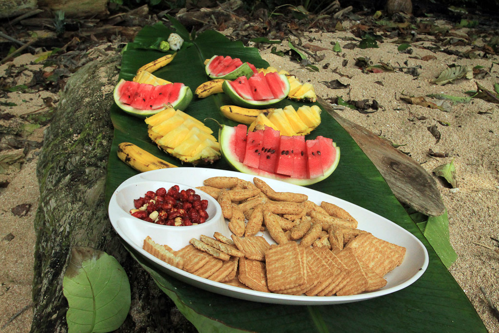 caribbean adventure snorkeling dolphin watching lunch 5.jpg