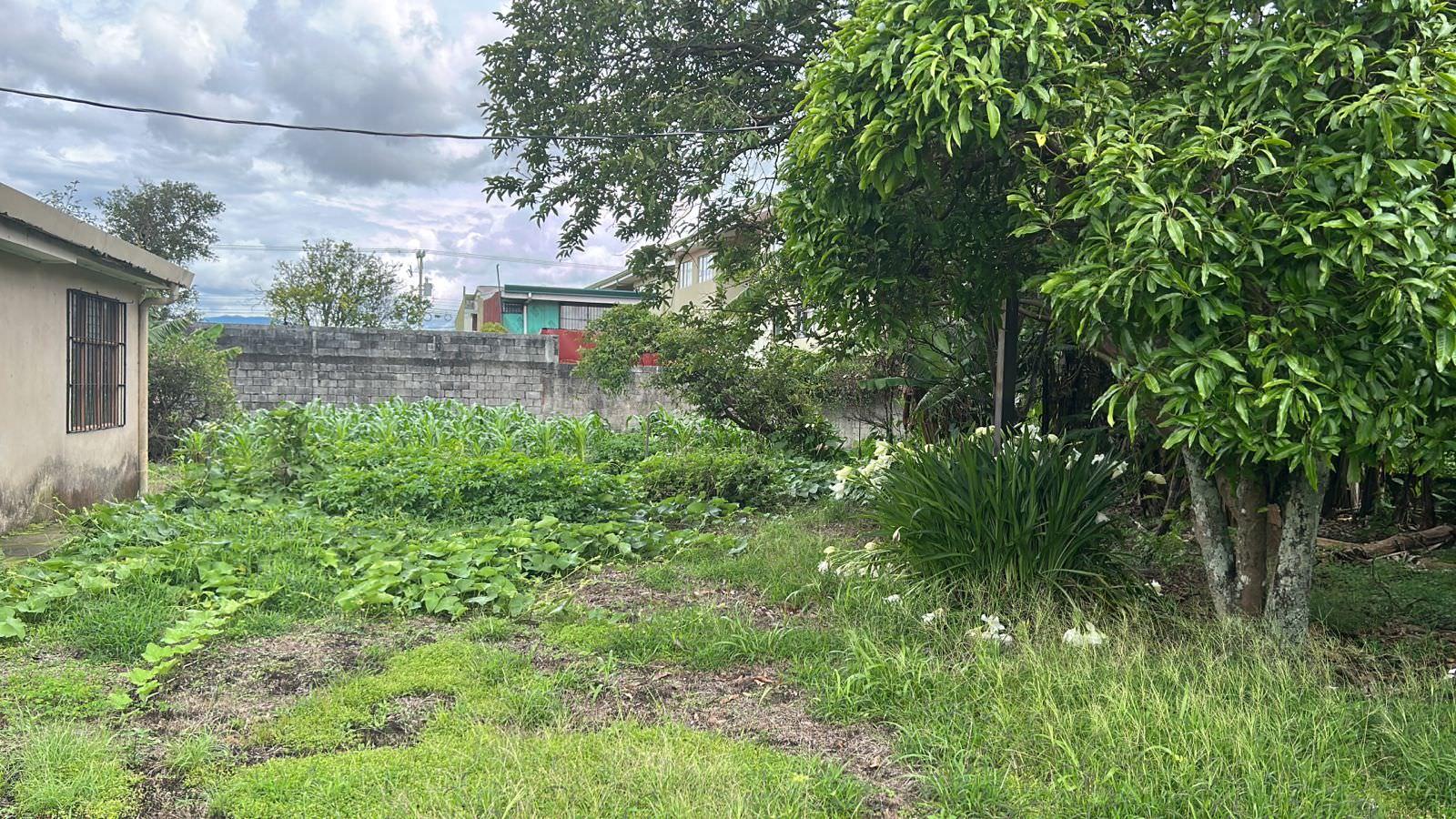 lot for development in the town of moravia view 011.jpeg