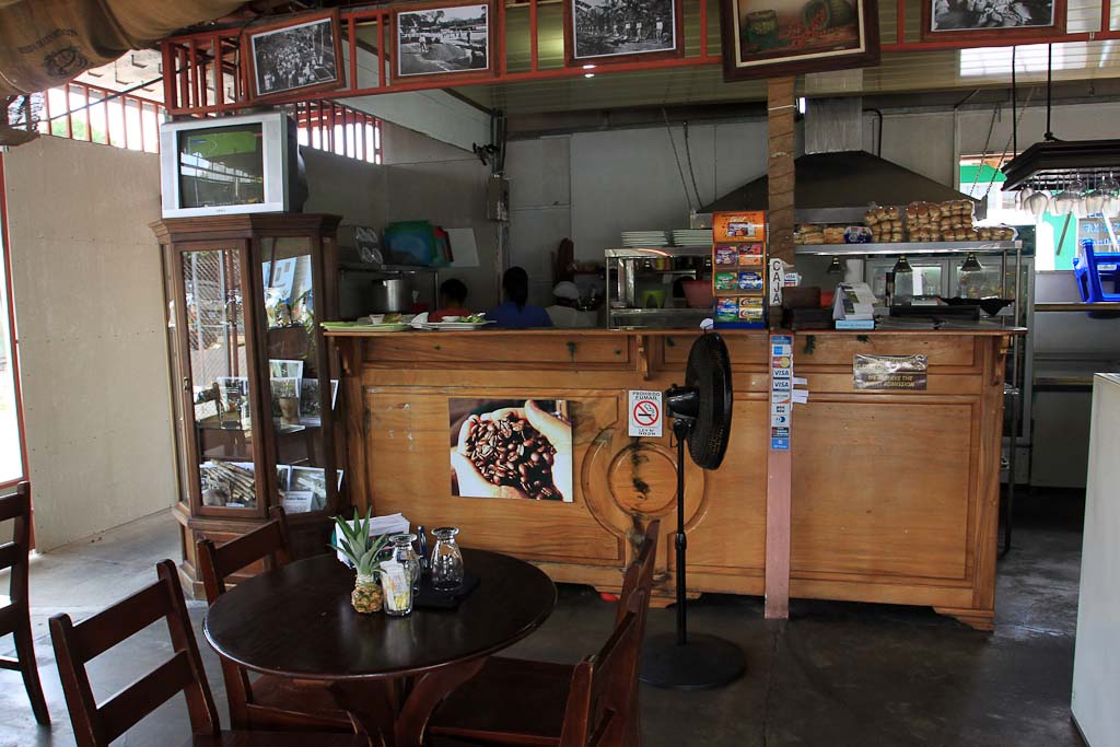 rainforest cafe interior 7.jpg