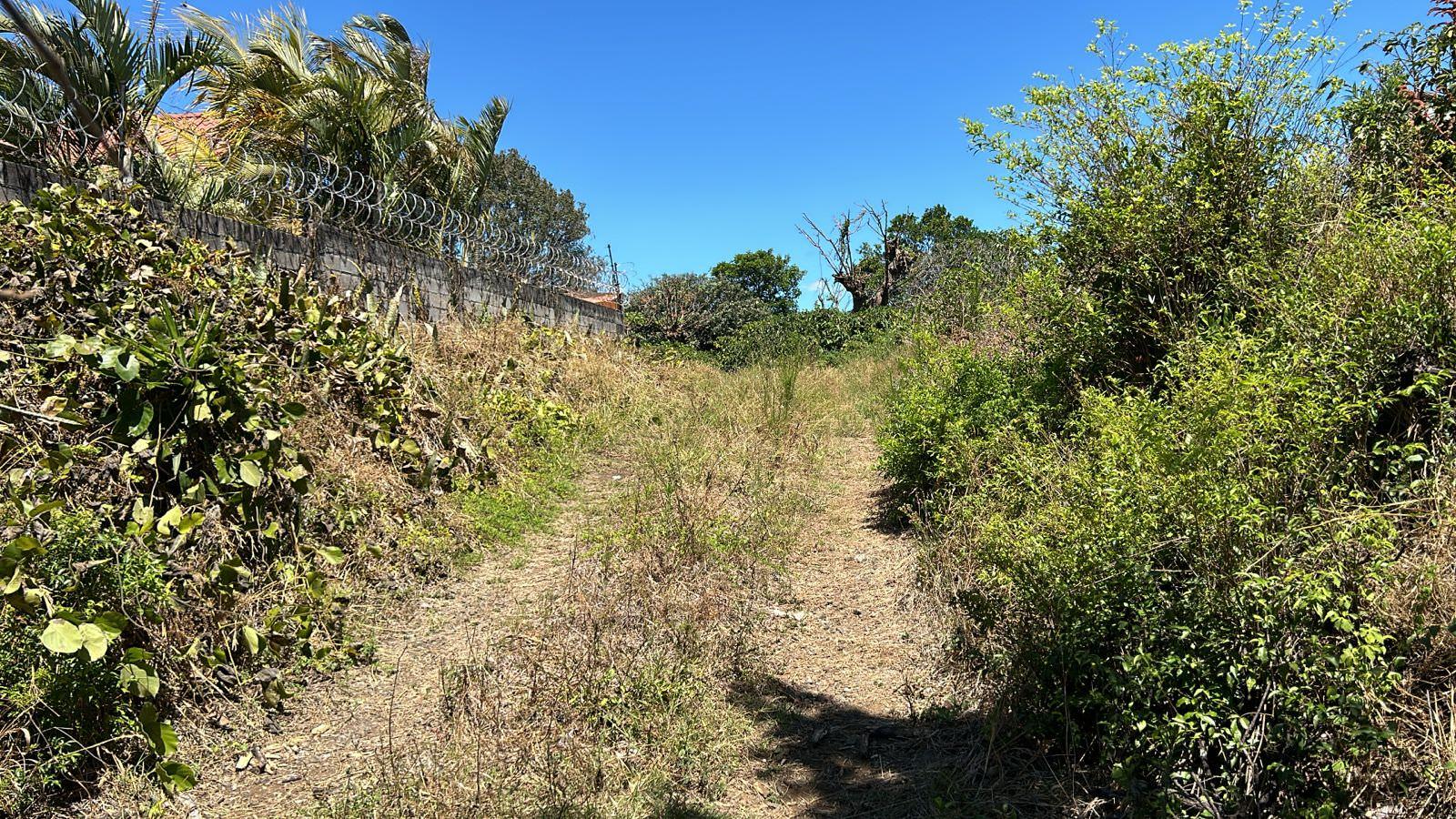 repurpose a coffee farm into a turn key mixed use development complex view 006.jpeg