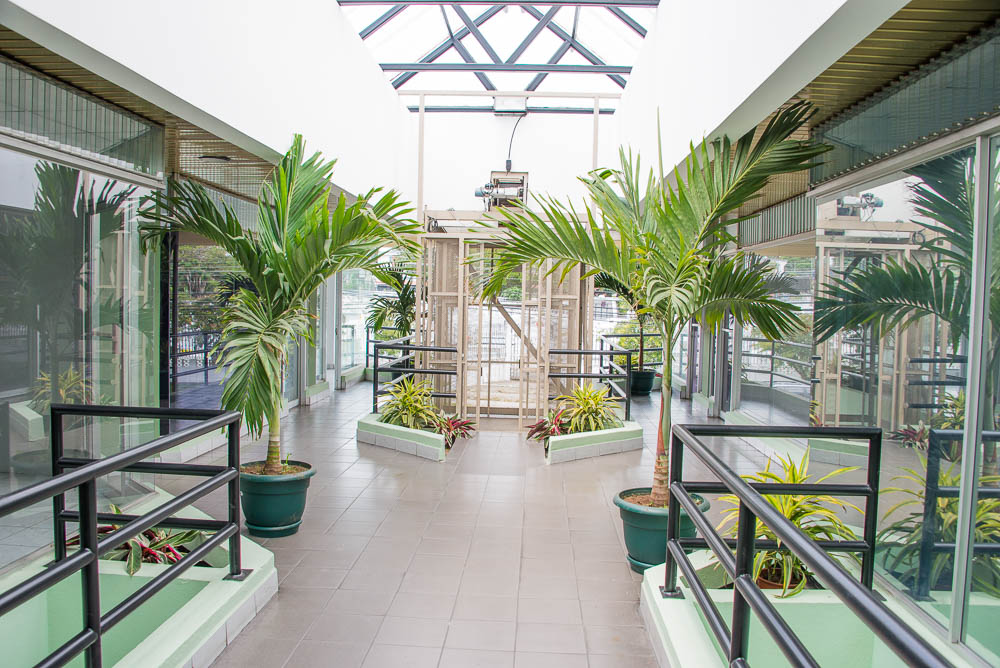 Elevator And Hallway On Second Floor
