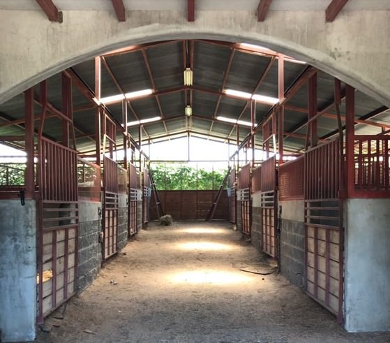 country estate for sale in alajuela view 019.jpg