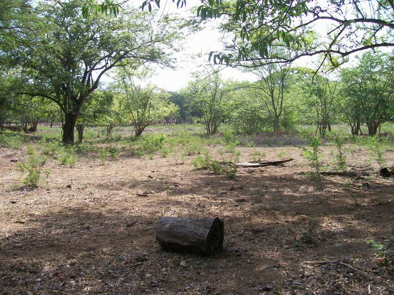 land for development near the beach in guanacaste view 005.jpg