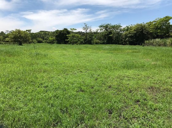 country estate for sale in alajuela view 007.jpg