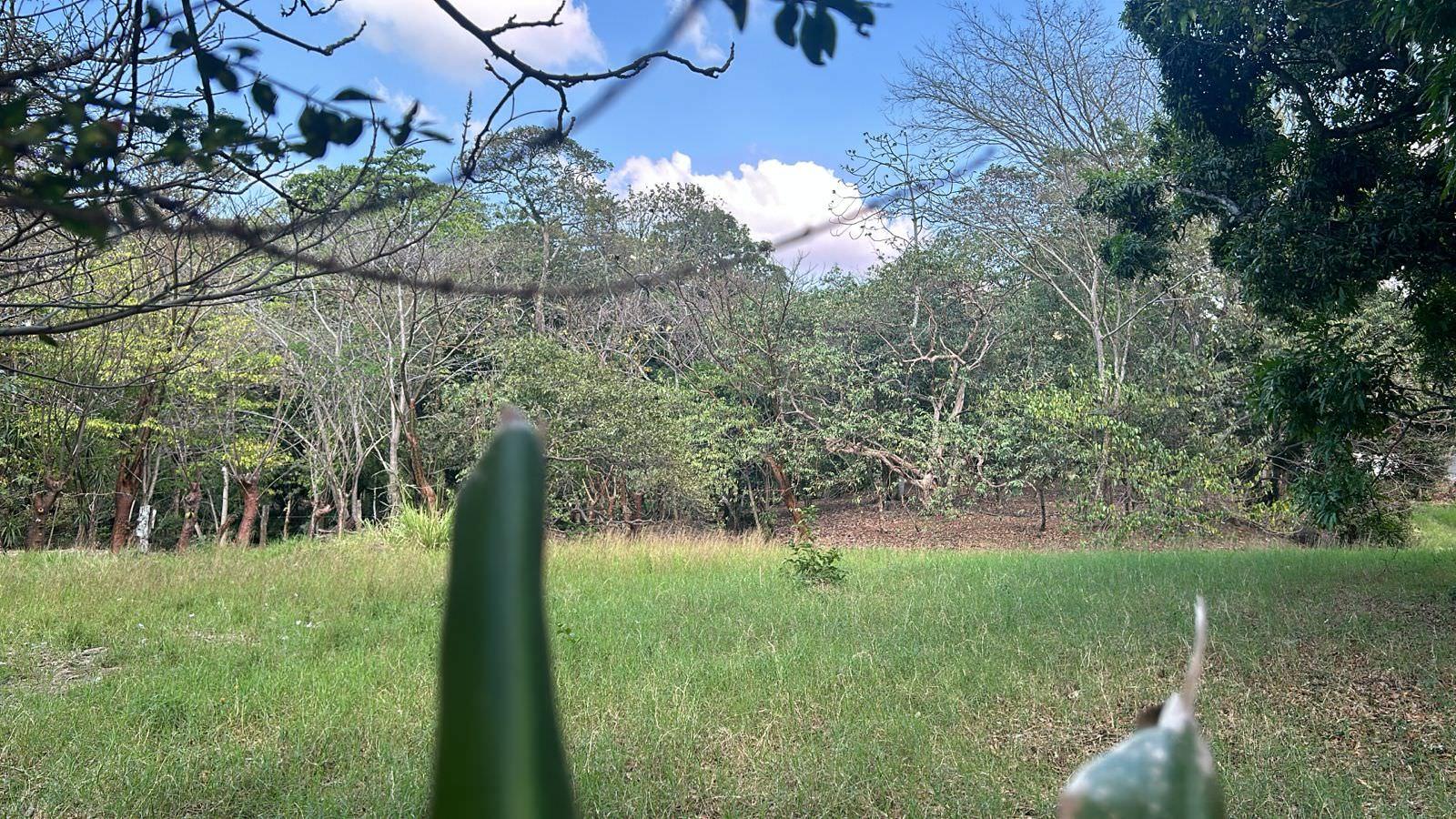 santa ana route 27 frontage 17 2 acre parcel buy one or all three parcel view 022.jpeg