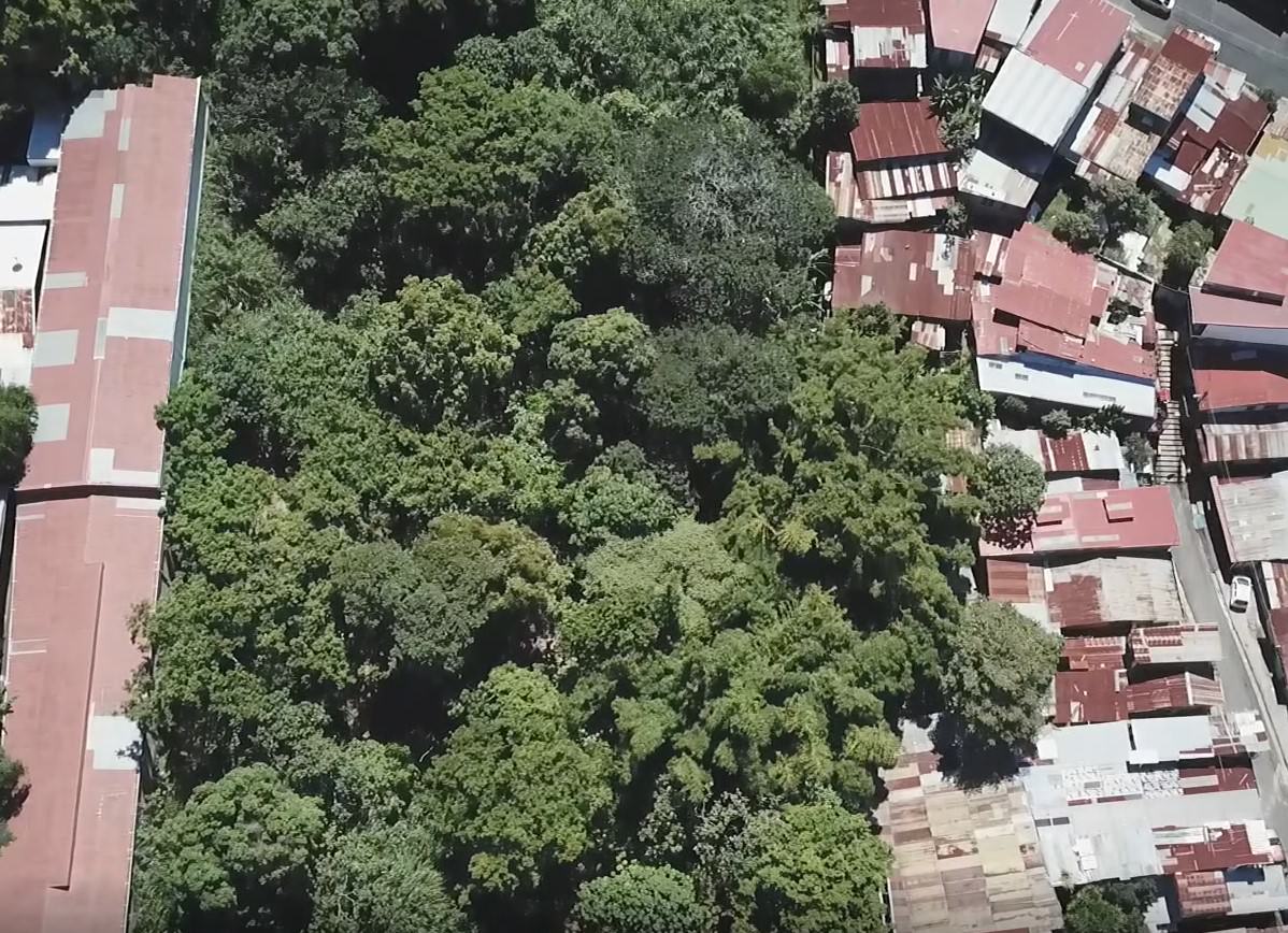 urban development site in sabana view 010.jpg