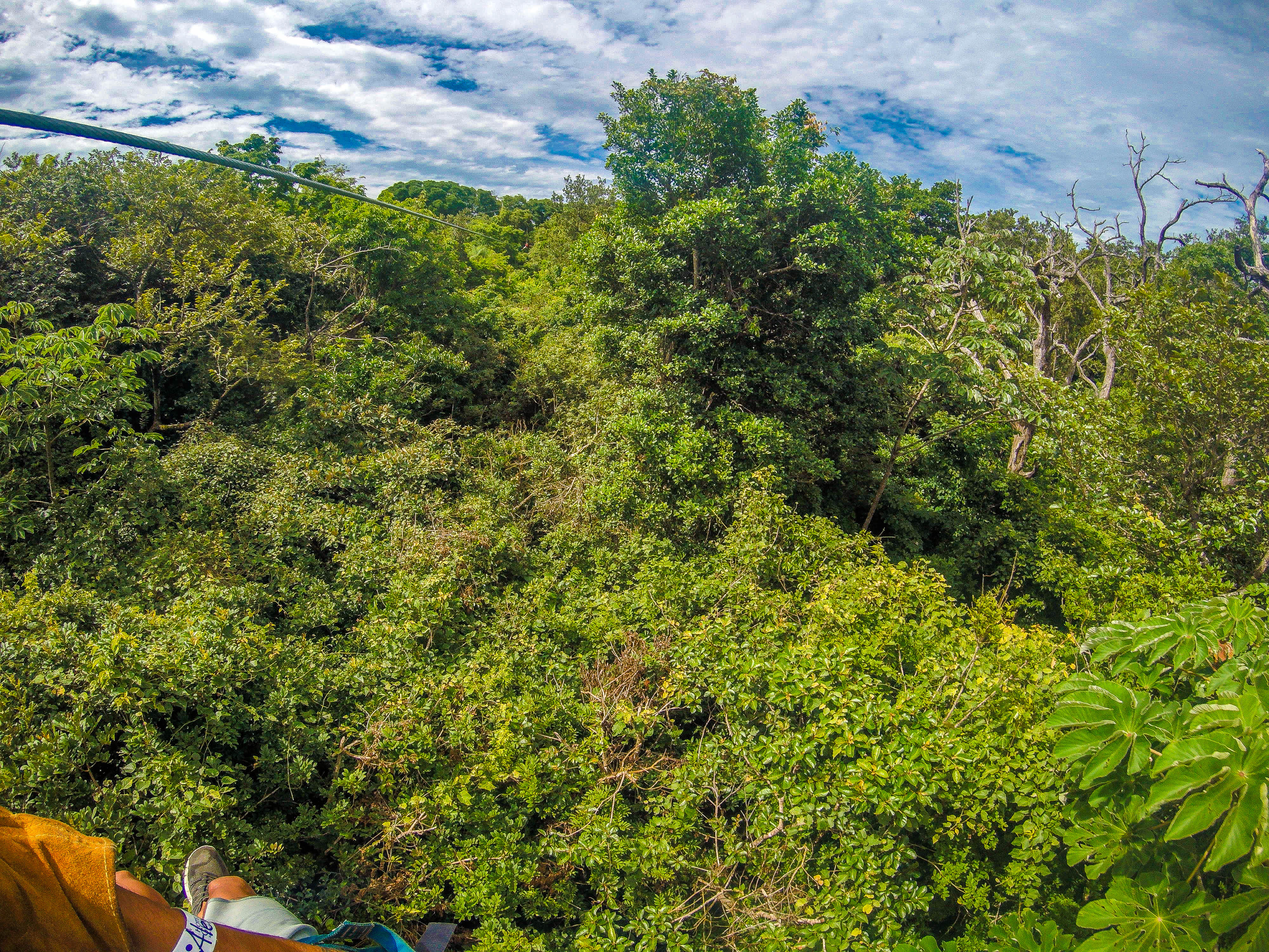 Forest View On A Zipline At The White River Canyon Zip Line Rincon De La Vieja