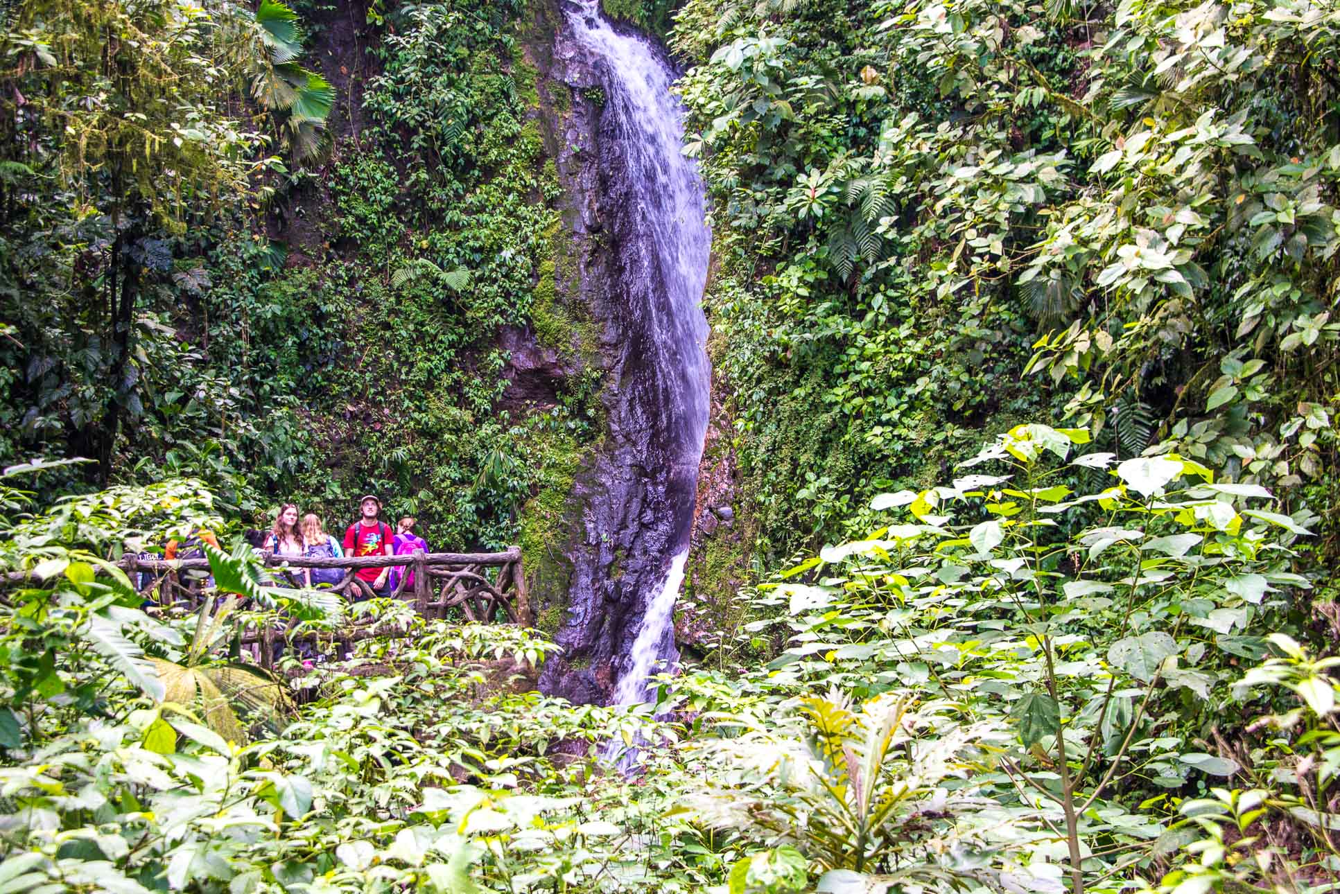 Foot Blue Morpho Waterfall Hanging Bridges Mistico Park