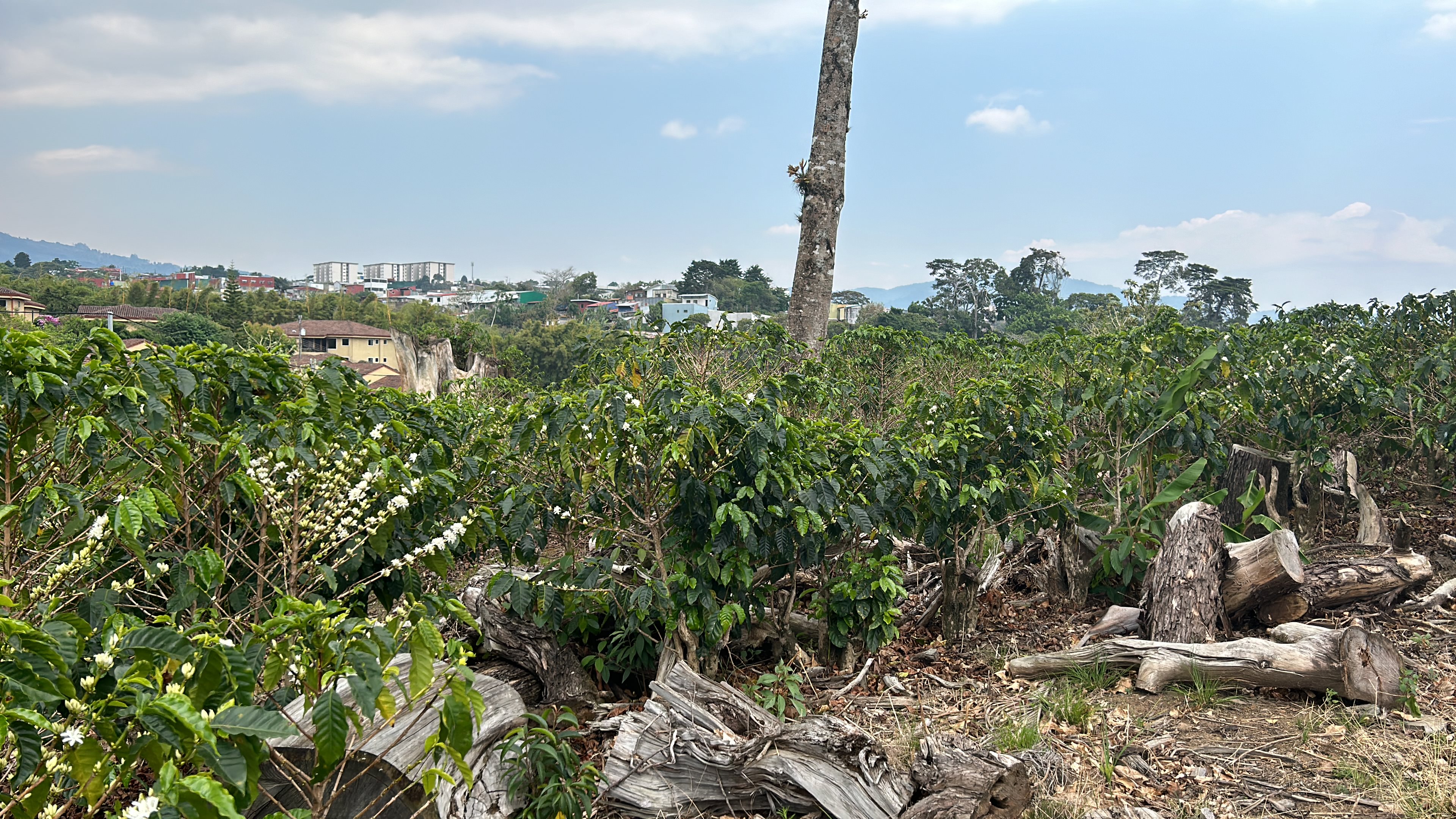 cul de sac residential development lot view 025.jpg