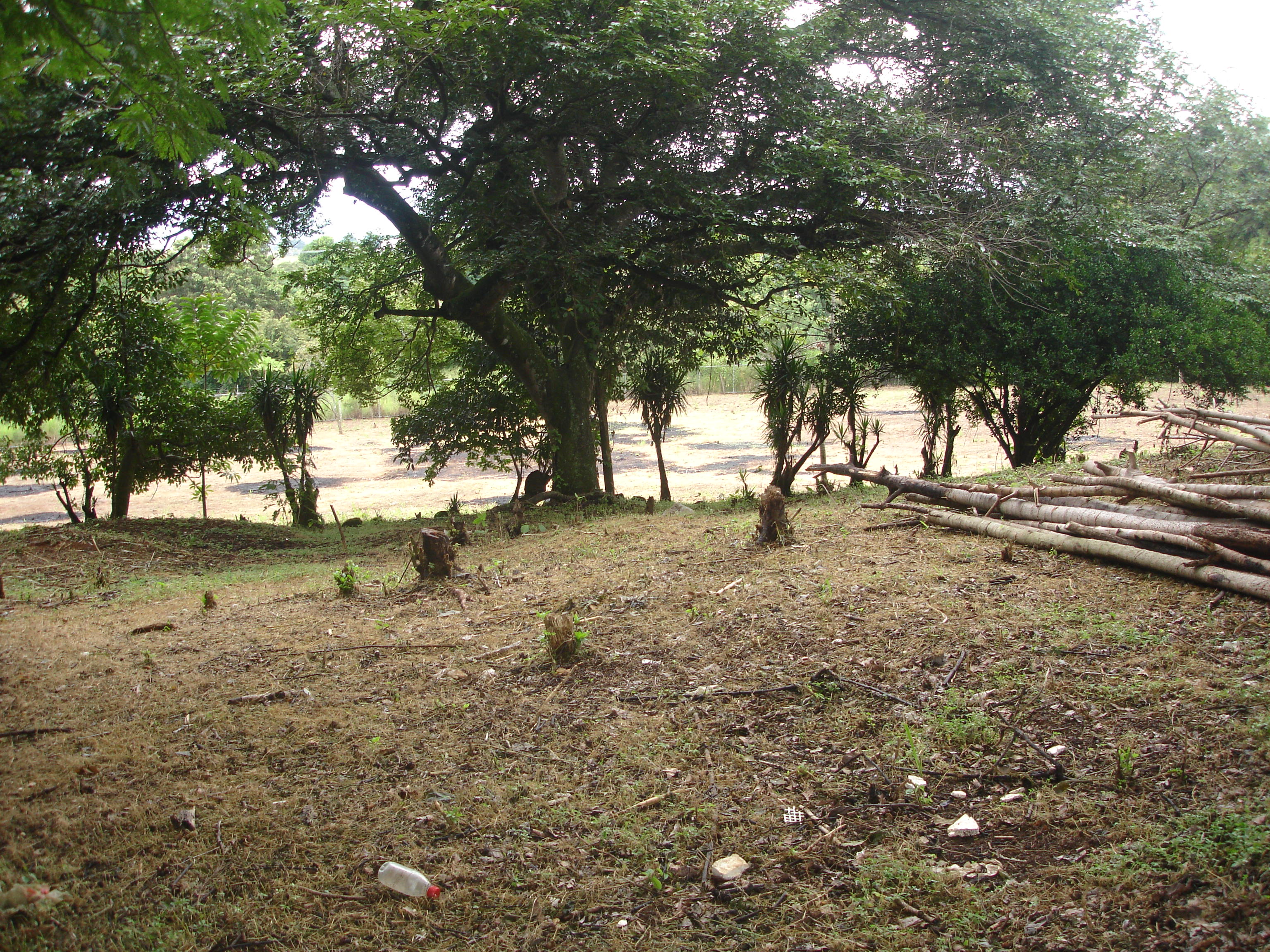 land for commercial or industrial development in alajuela view 001.jpg