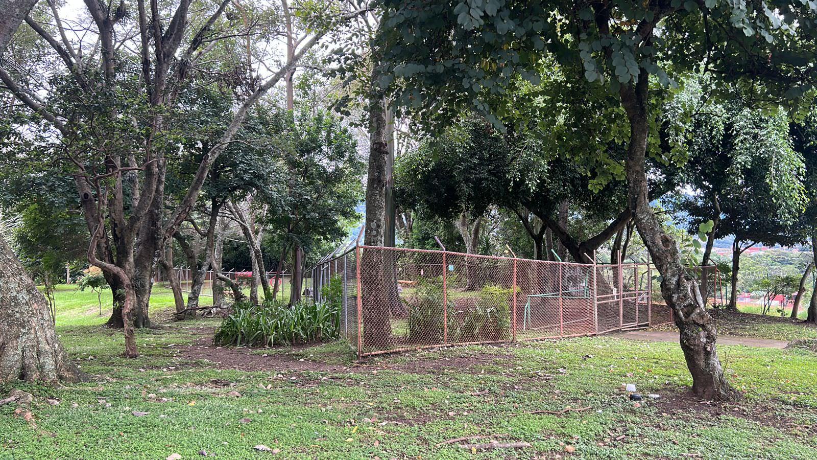 urban development site in sabana view 004.jpeg