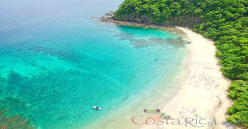 Papagayo