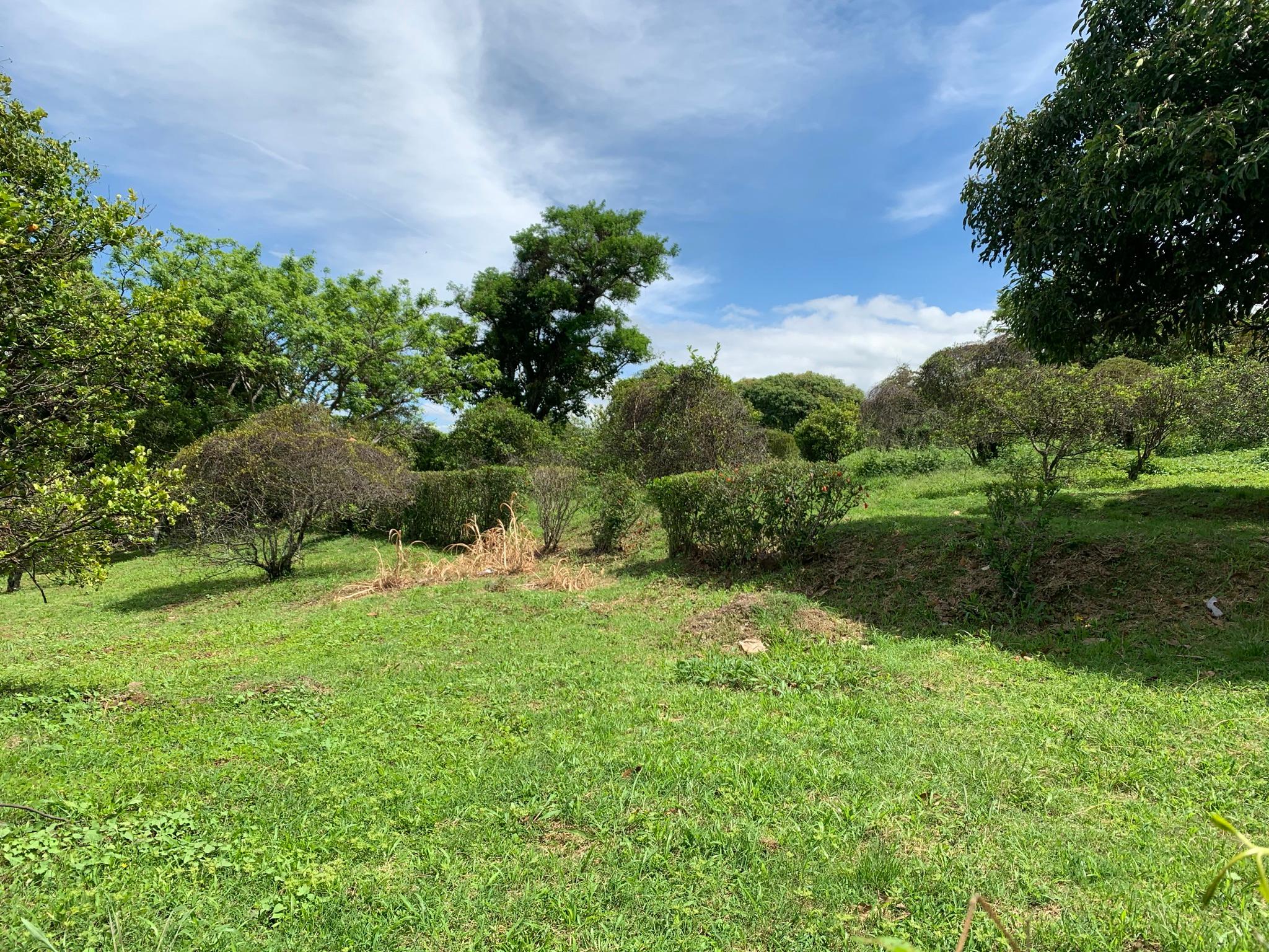 adjacent lots available in up in the hills of heredia buy one or all view 006.jpeg