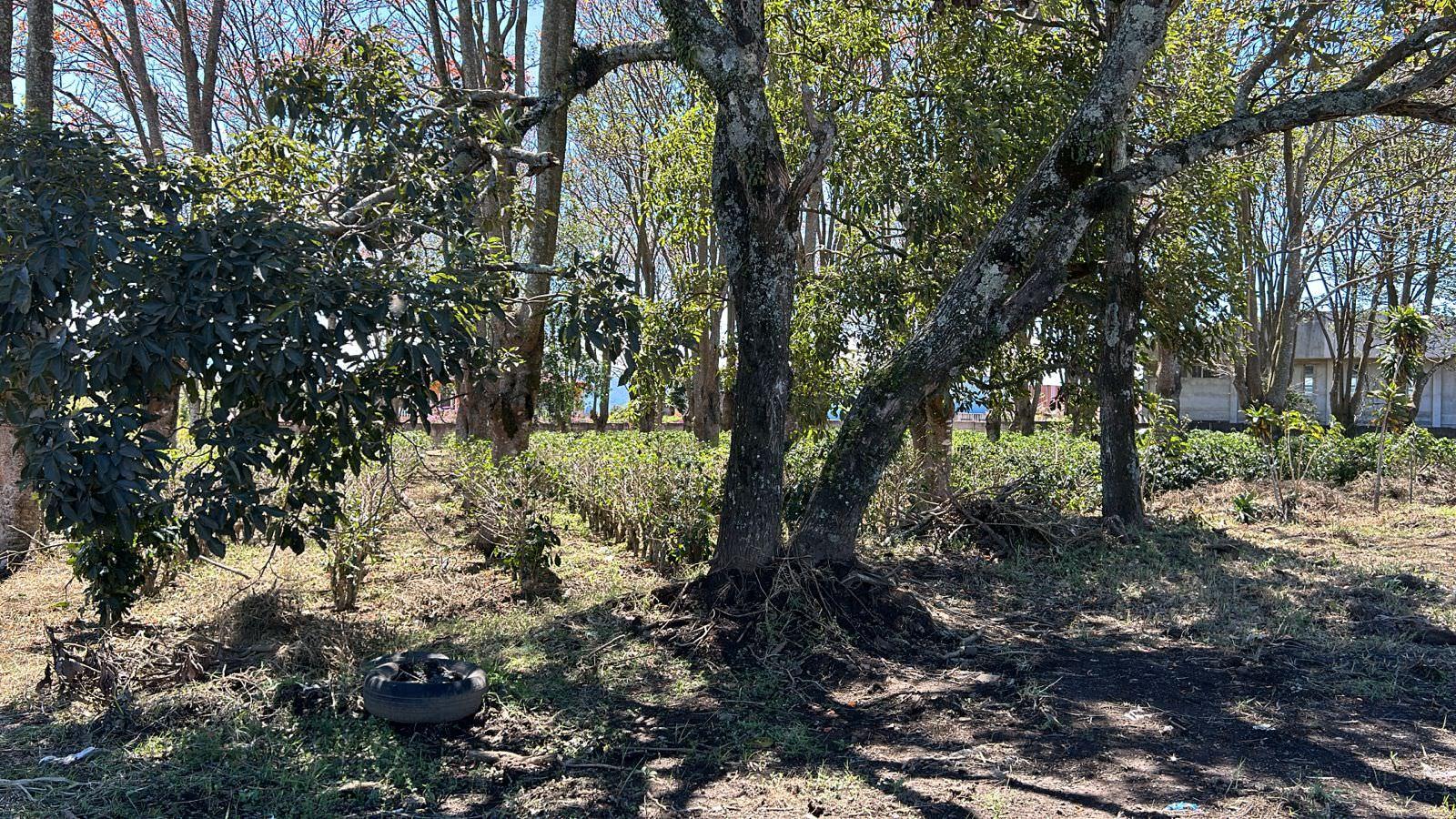 vacant lot under protected zone for development on route 32 san jose view 003.jpeg