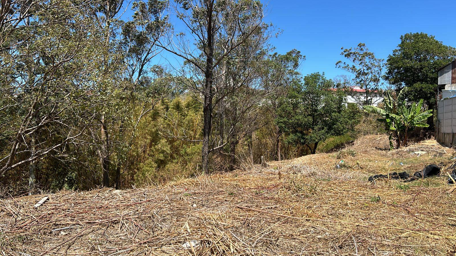 70 apartment low income family development in heredia view 009.jpeg