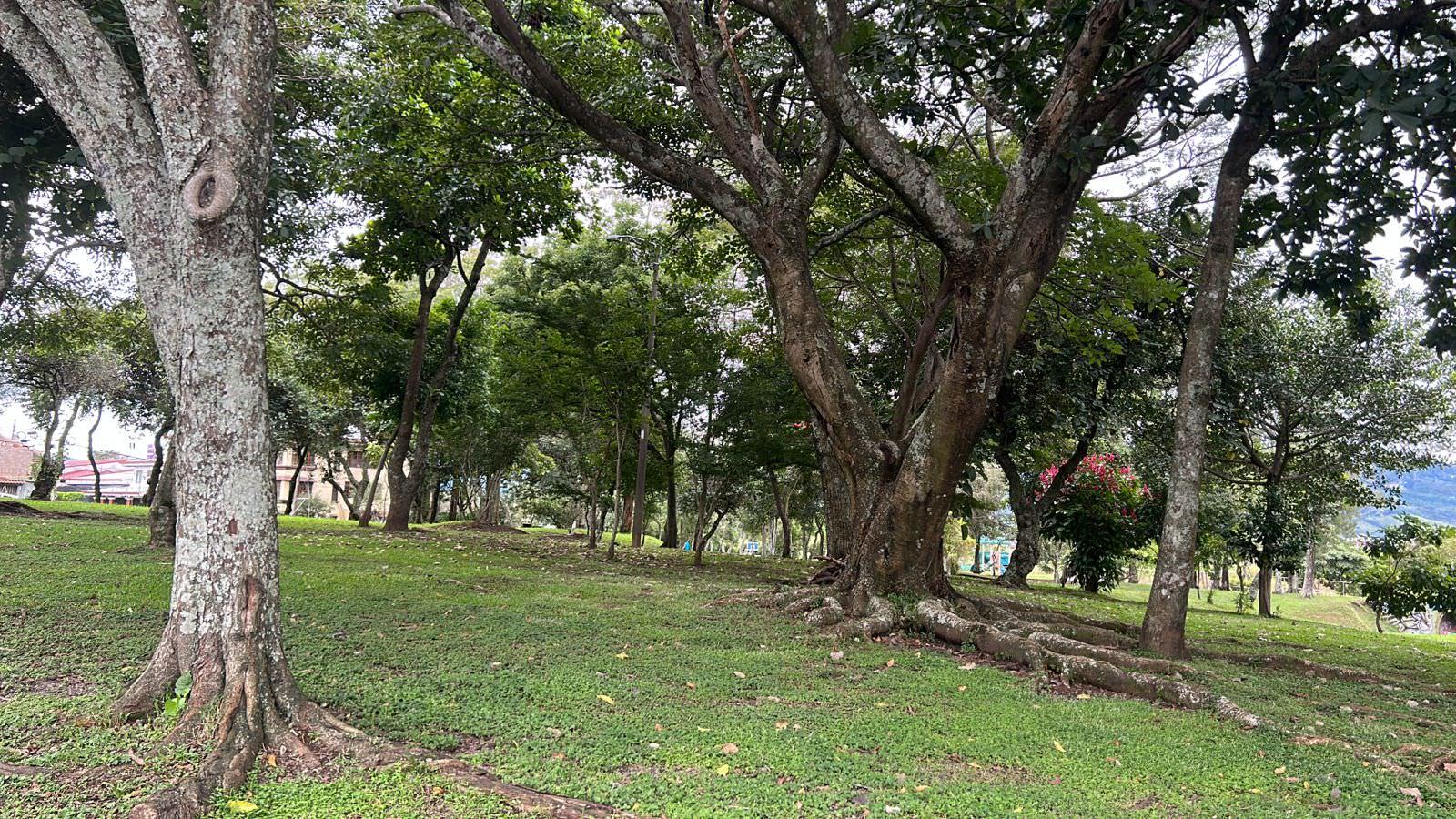 urban development site in sabana view 002.jpeg