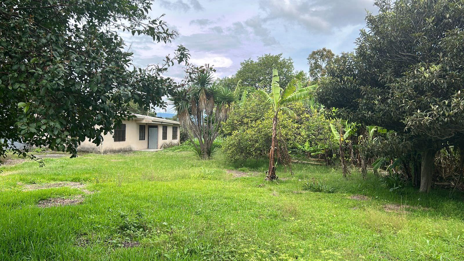 lot for development in the town of moravia view 010.jpeg