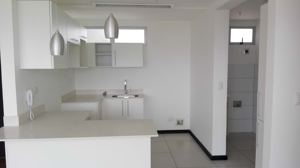 revenue generating apartment for sale in sabana view 001.jpg