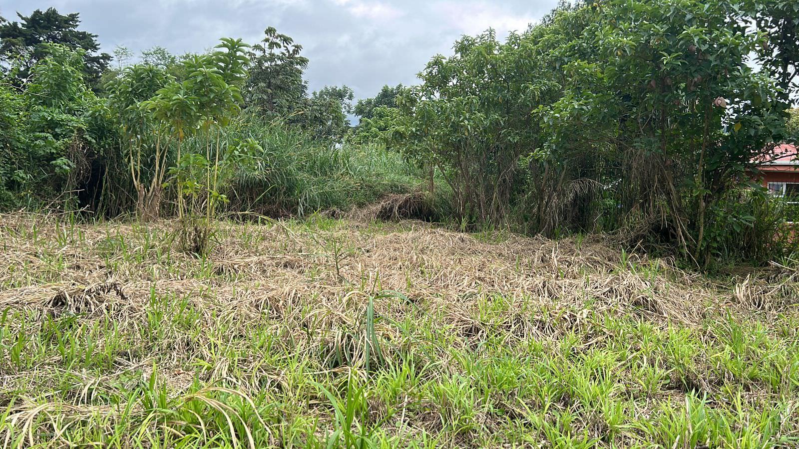 planned construction plot for sale in escazu view 003.jpeg