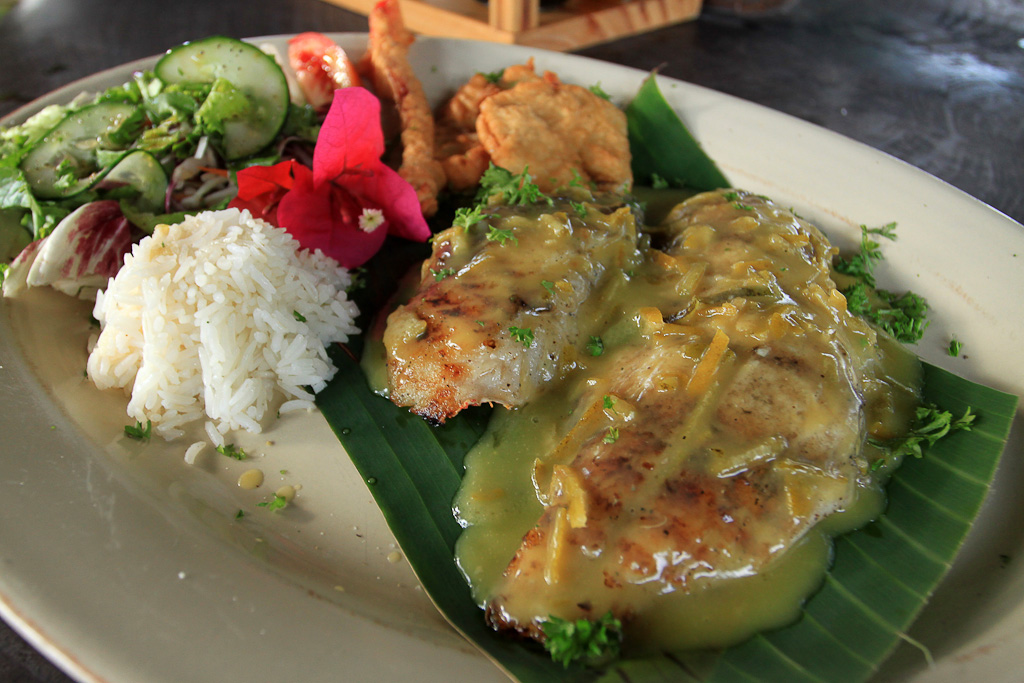 amimodo citrus snapper 6.jpg