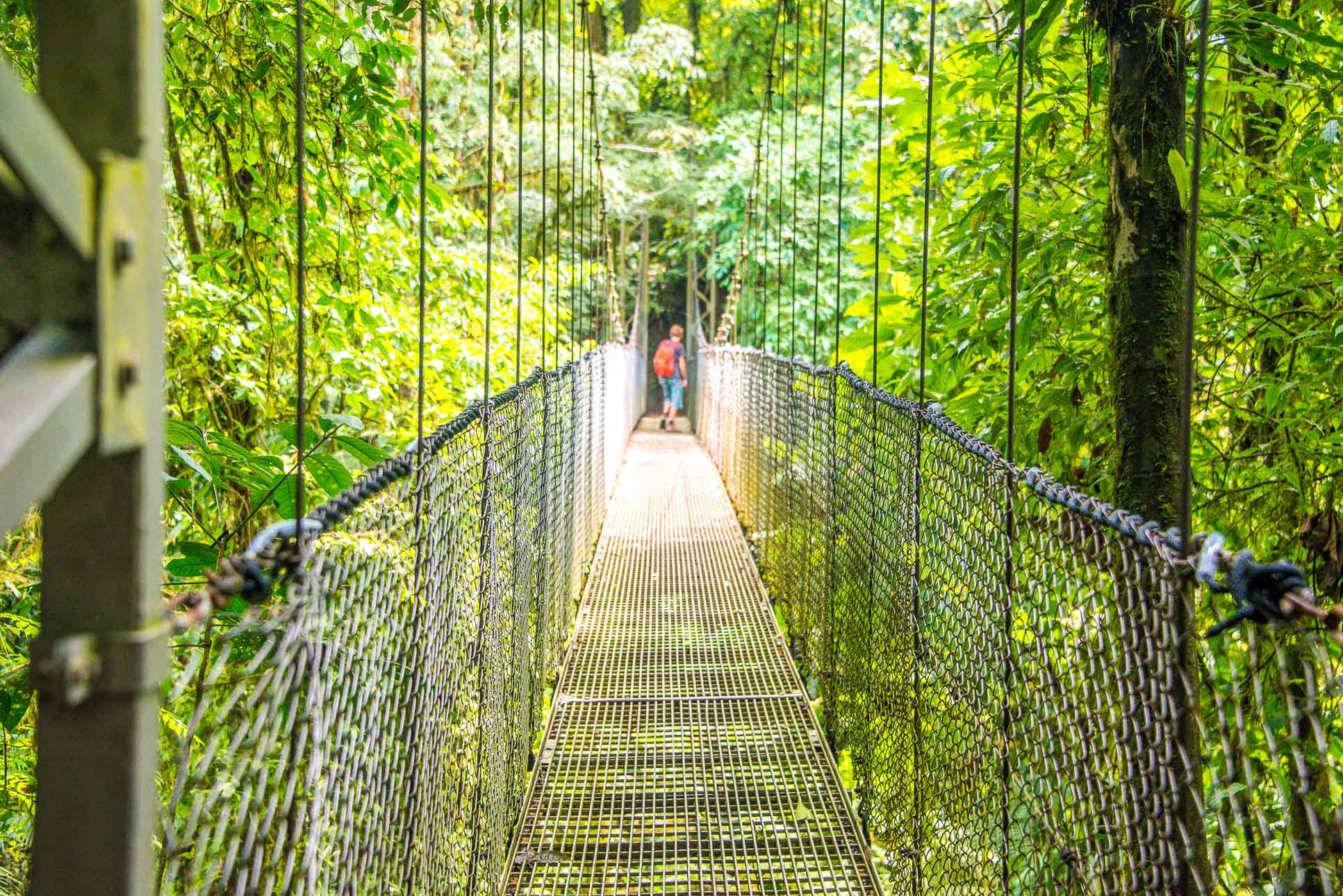 Person Crossing Hanging Bridges Mistico Park