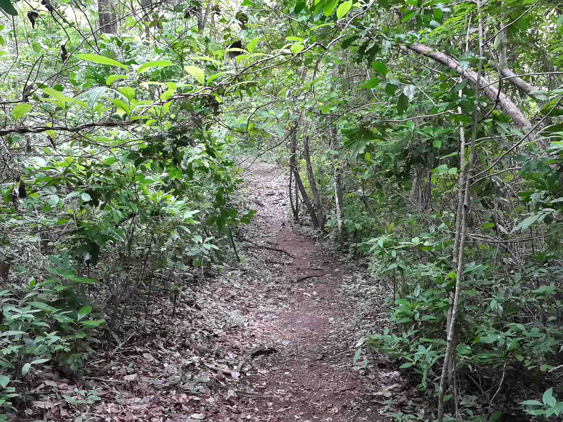 trail samara trails hike 4.jpg