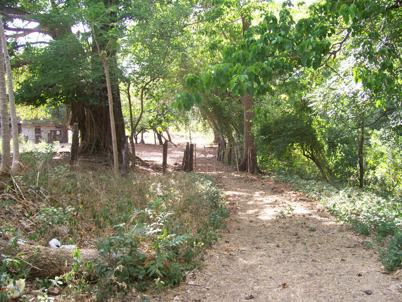 land for development near the beach in guanacaste view 008.jpg