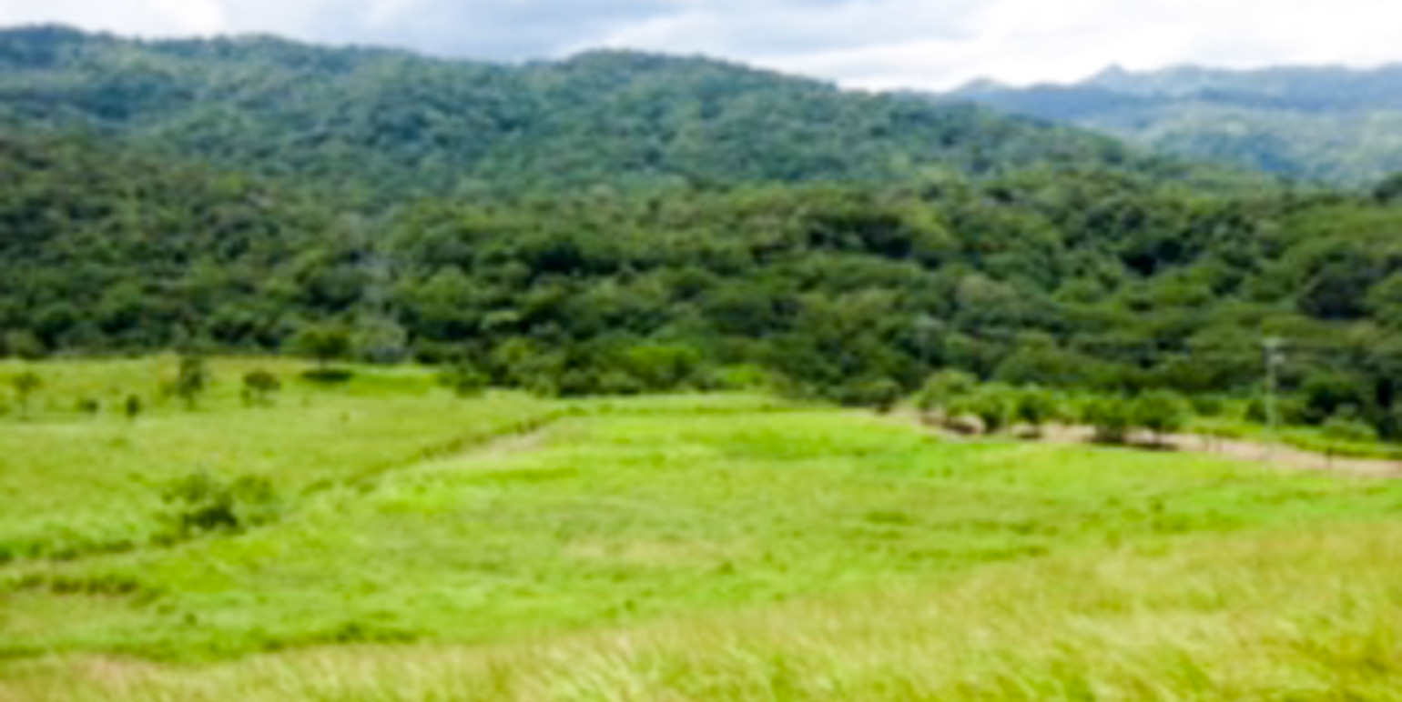 residential parcel with valley views in alajuela view 004.jpg