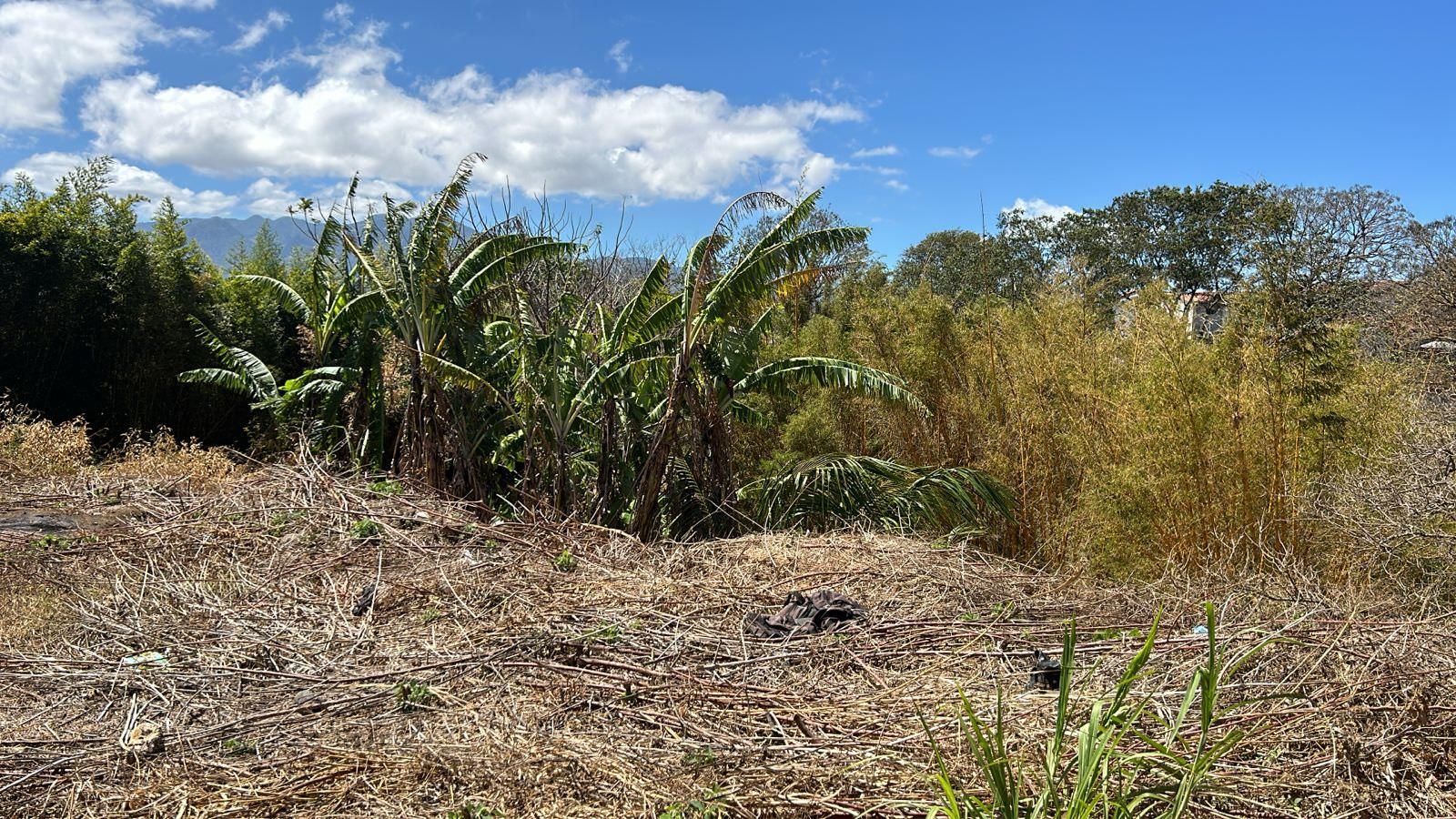 70 apartment low income family development in heredia view 004.jpeg