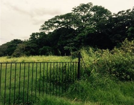 site for new development in santa ana view 003.jpg