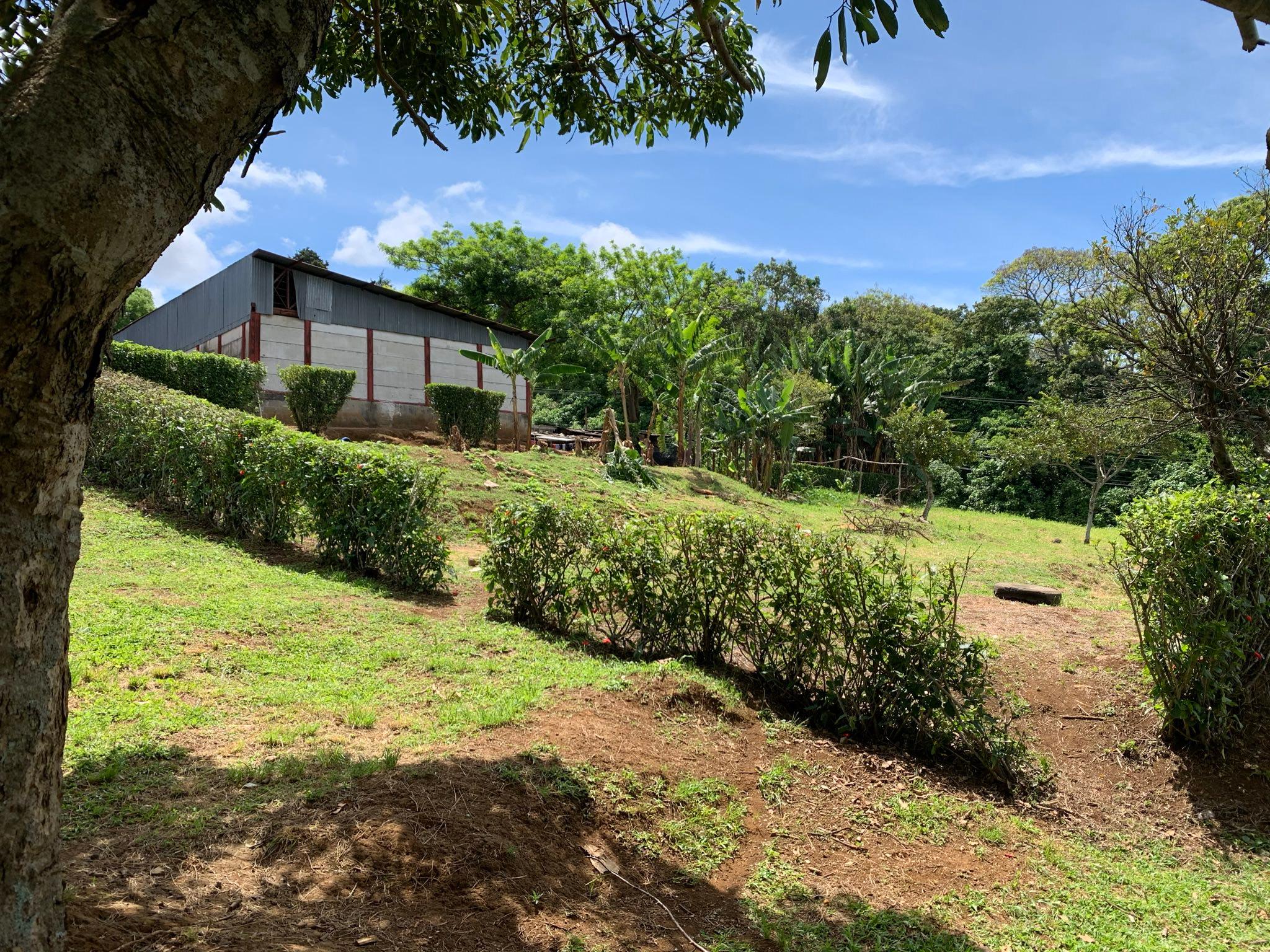 adjacent lots available in up in the hills of heredia buy one or all view 013.jpeg