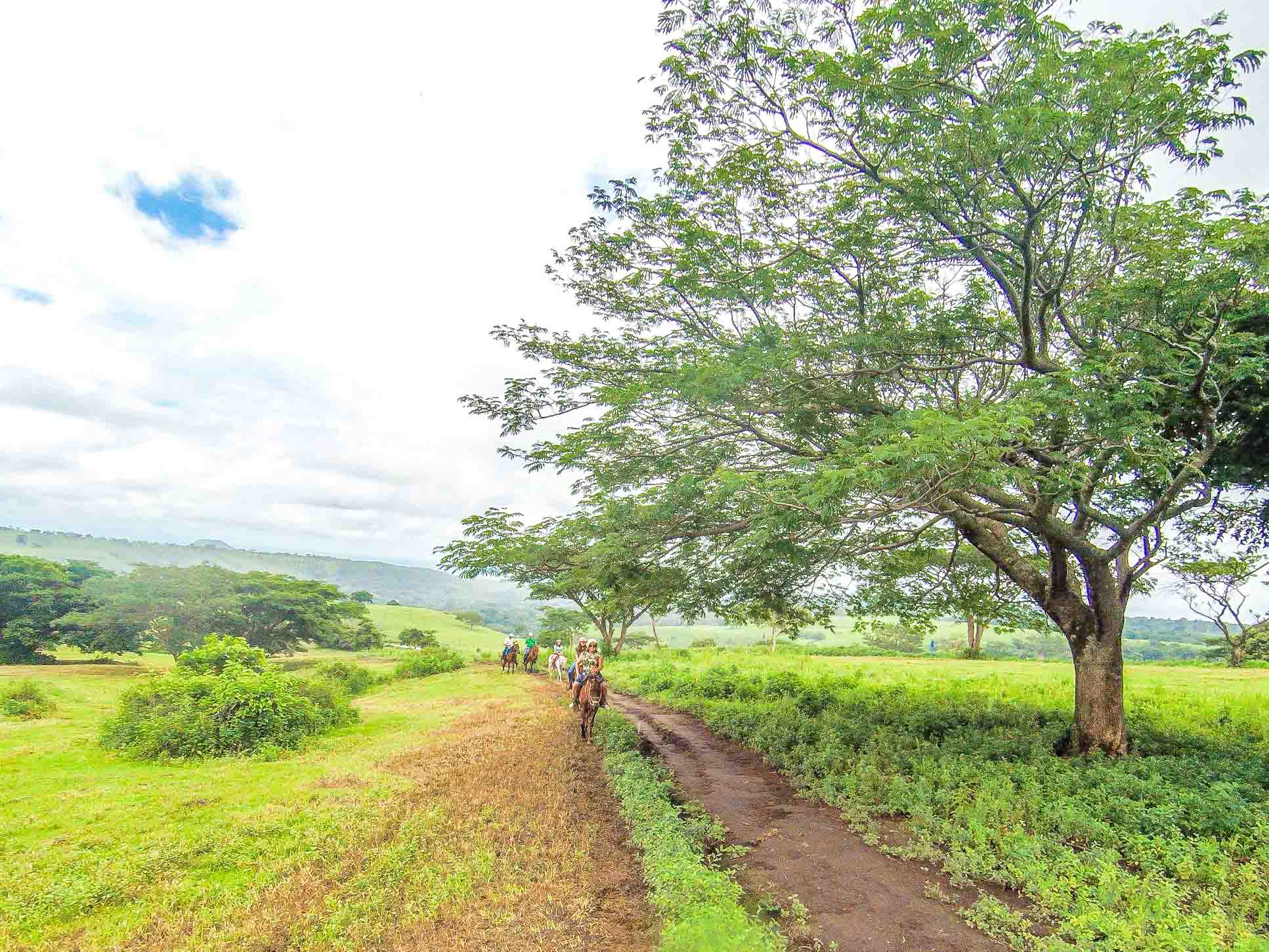 Borinquen Horseback Trail Flat Tree Rincon De La Vieja