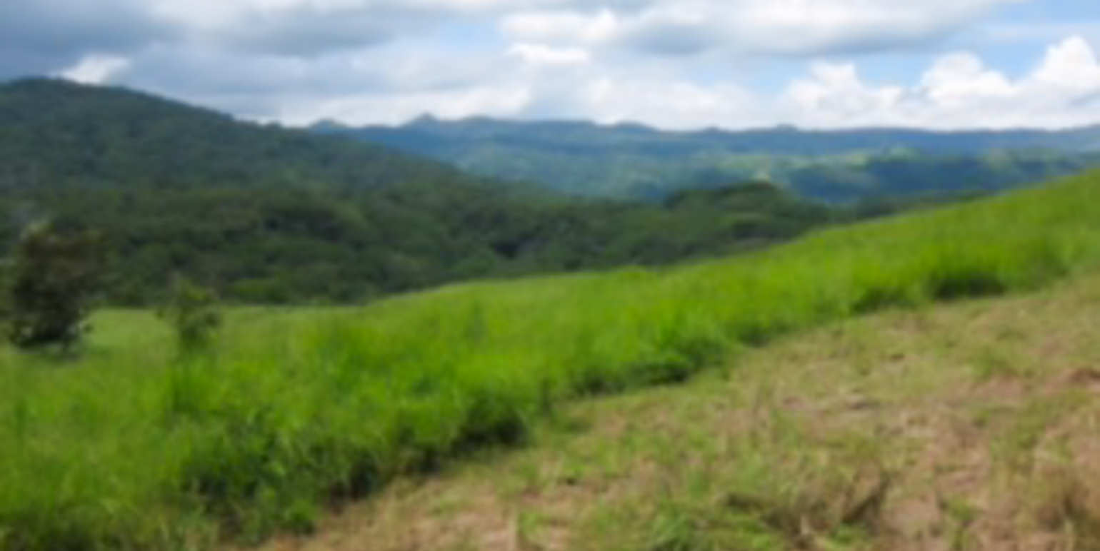 residential parcel with valley views in alajuela view 002.jpg