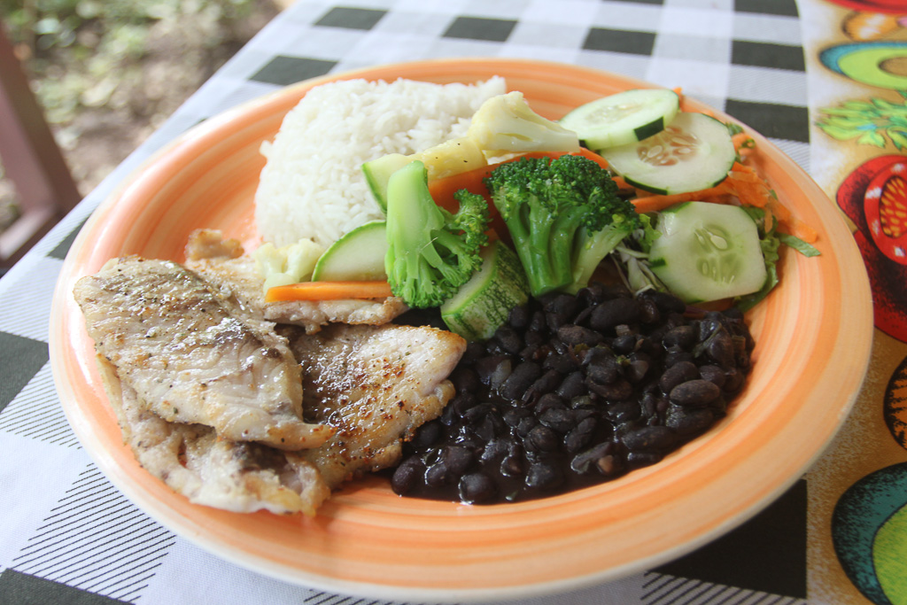 fish casado rosis soda tica 2.jpg
