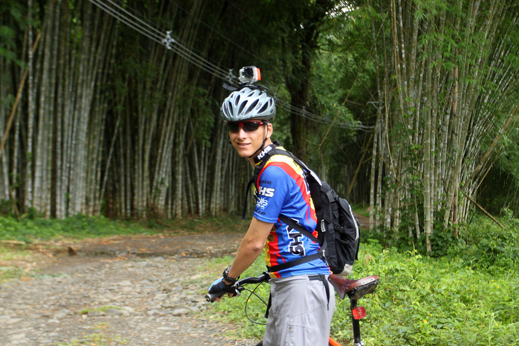 bamboo forest moutain bike tour forest 2.jpg