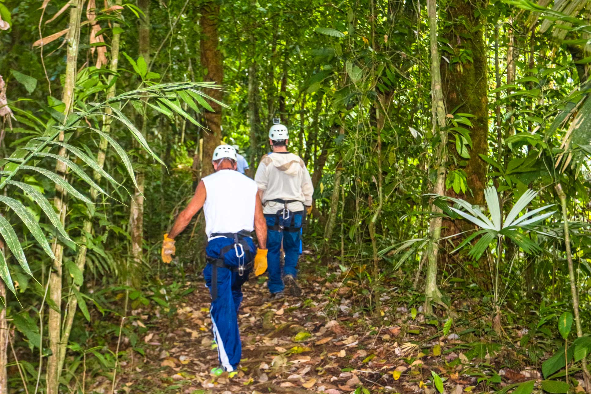 Hiking To The Next Cable Osa Palmas Canopy Tour