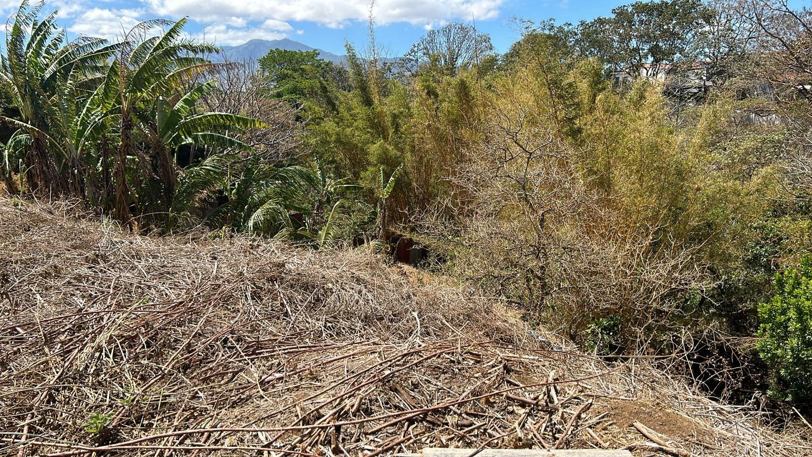 70 apartment low income family development in heredia view 008.jpeg